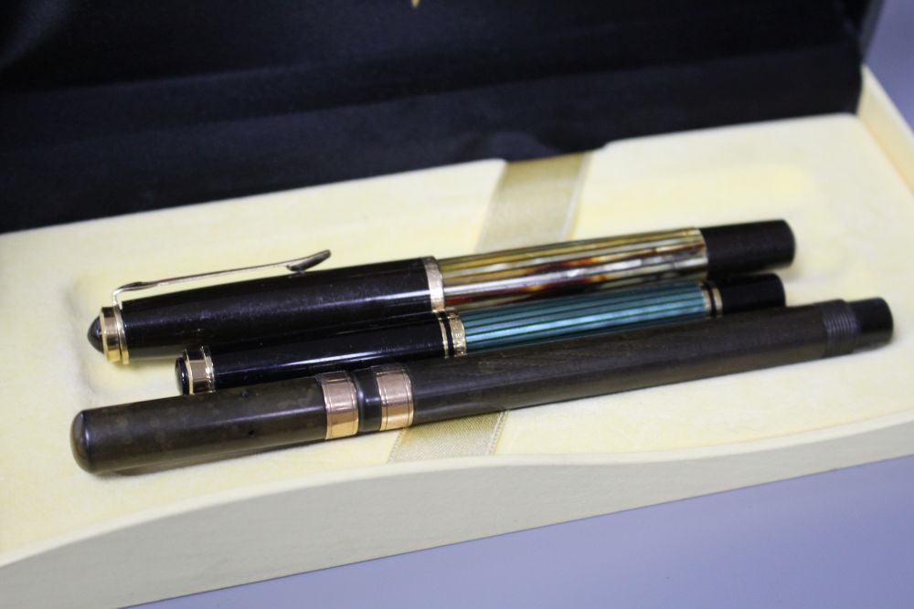 A group of fountain pens including a Pelikan Souveran, Mont Blanc, Onoto and a Watermans Ideal matching marbled fountain pen and propel